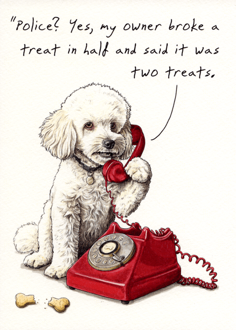 humorous greeting cardBewilderbeestComedy Card CompanyTwo treats