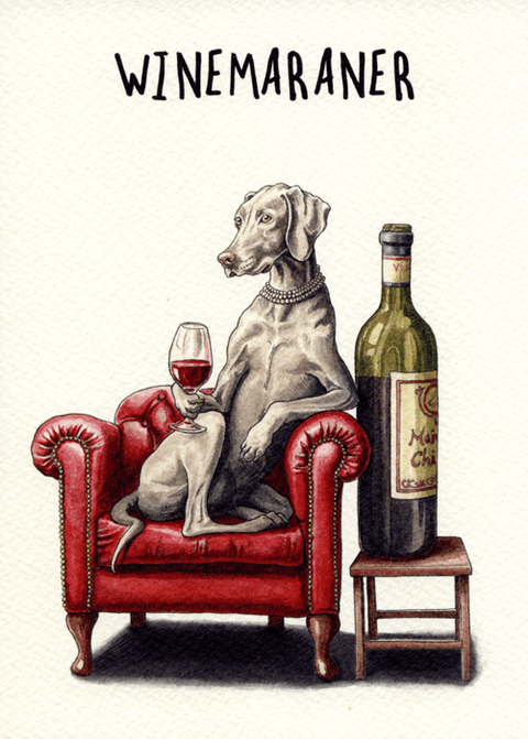 humorous greeting cardBewilderbeestComedy Card CompanyWinemaraner