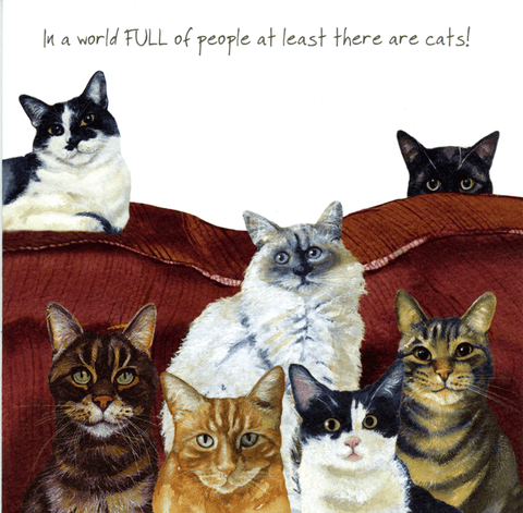 humorous greeting cardLittle Dog LaughedComedy Card CompanyAt least there are cats
