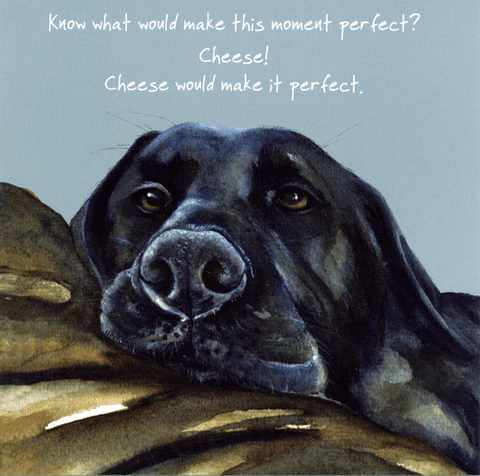 humorous greeting cardLittle Dog LaughedComedy Card CompanyCheese would be perfect