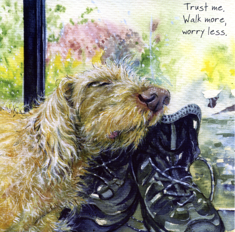 humorous greeting cardLittle Dog LaughedComedy Card CompanyWalk more, worry less