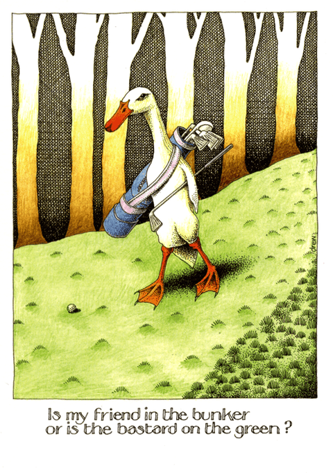 humorous greeting cardSimon DrewComedy Card CompanyBastard on the Green