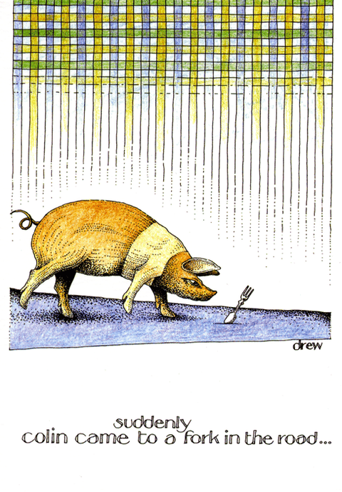 humorous greeting cardSimon DrewComedy Card CompanyFork in the road