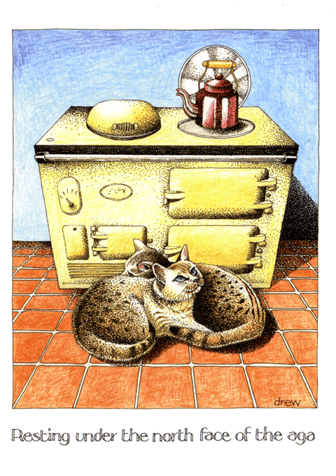 humorous greeting cardSimon DrewComedy Card CompanyNorth Face of the Aga