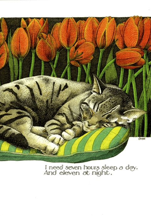humorous greeting cardSimon DrewComedy Card CompanySeven hours sleep