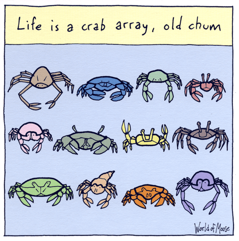 humorous greeting cardWoodmansterneComedy Card CompanyLife is a crab array