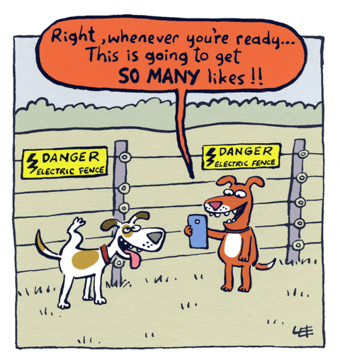 humorous greeting cardWoodmansterneComedy Card CompanySo many likes
