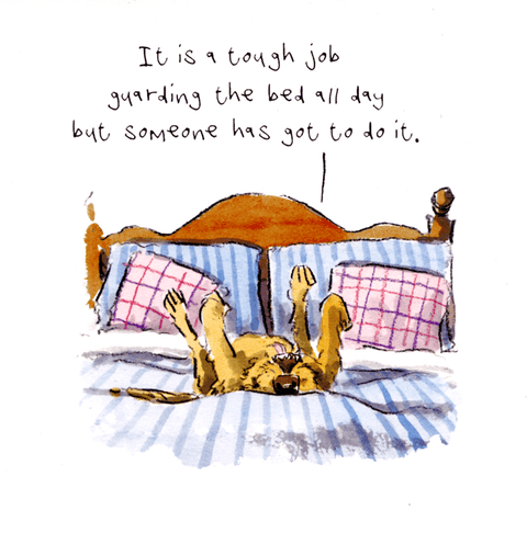 humorous greeting cardWoodmansterneComedy Card CompanyTough job