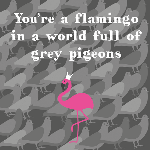 Love / Anniversary cardsComedy Card CompanyComedy Card CompanyFlamingo