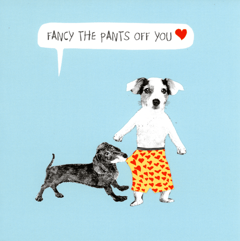 Love / Anniversary cardsSally ScaffardiComedy Card CompanyFancy the pants off you