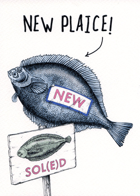 New Home cardBewilderbeestComedy Card CompanyNew Plaice