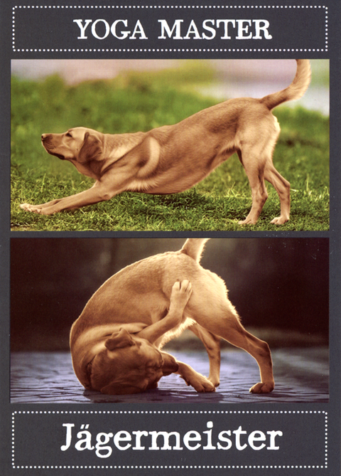 Yoga Master