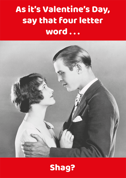 Valentines cardsComedy Card CompanyComedy Card CompanyValentine Shag