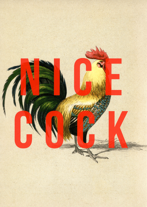 Valentines cardsEast End PrintsComedy Card CompanyNice Cock