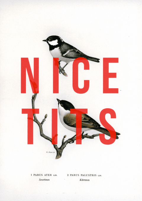 Valentines cardsEast End PrintsComedy Card CompanyNice Tits