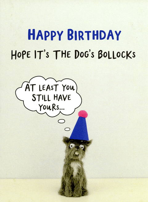 Birthday CardBold & BrightComedy Card CompanyBirthday - Dog's Bollocks