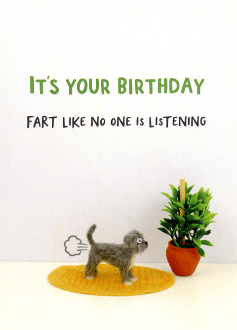 Birthday CardBold & BrightComedy Card CompanyFart like no one is listening