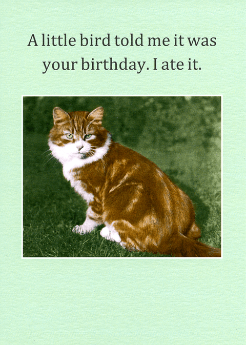 Birthday CardCath TateComedy Card CompanyLittle bird told me