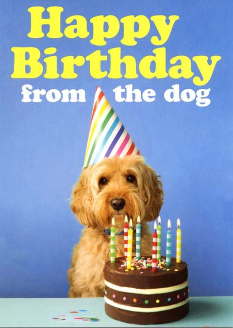 Birthday CardDean MorrisComedy Card CompanyHappy birthday from Dog