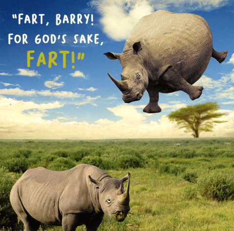 Birthday CardEmotional RescueComedy Card CompanyFor God's sake, Fart!