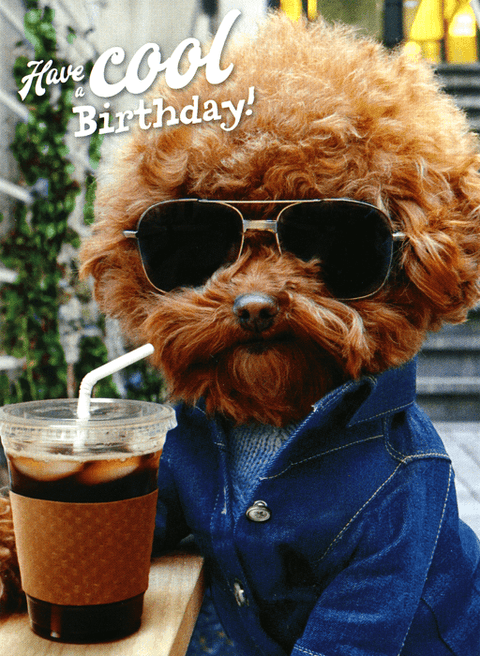 Birthday CardGreat British Card CompanyComedy Card CompanyHave a cool birthday