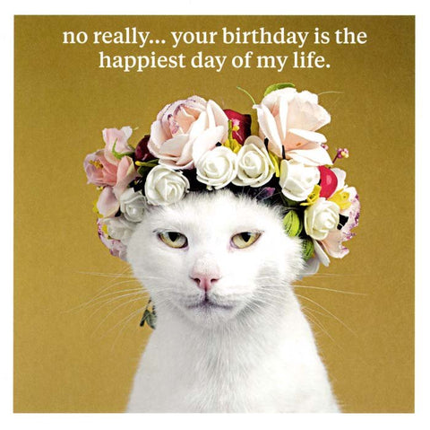 Birthday CardIconComedy Card CompanyCat - Happiest day of my life