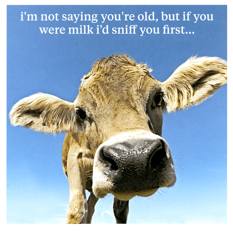 Birthday CardIconComedy Card CompanyIf you were milk . . .