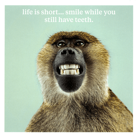 Birthday CardIconComedy Card CompanySmile while you still have teeth