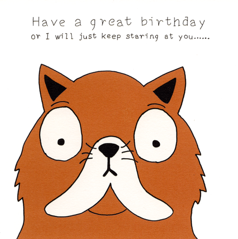 Birthday CardNot at All JackComedy Card CompanyCat - keep staring