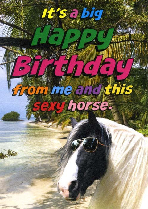 Birthday CardObjectablesComedy Card CompanyBirthday from sexy horse