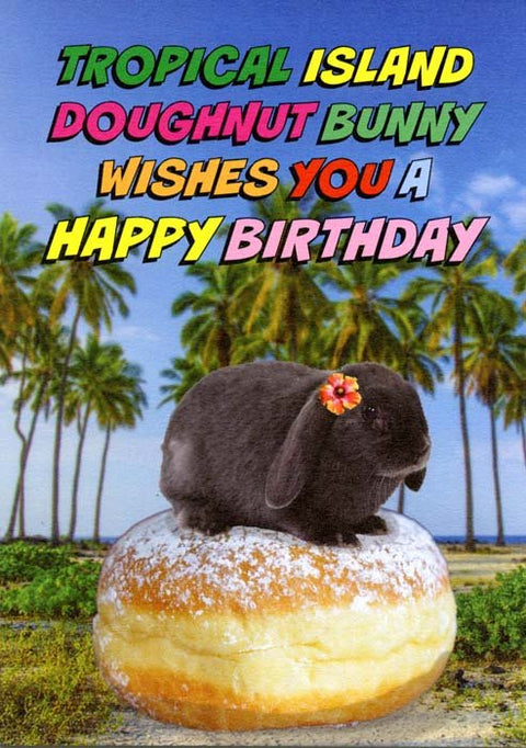 Birthday CardObjectablesComedy Card CompanyDoughnut Bunny