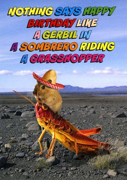 Birthday CardObjectablesComedy Card CompanyGerbil in a sombrero
