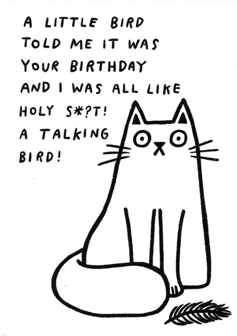 Birthday CardPigmentComedy Card CompanyTalking bird
