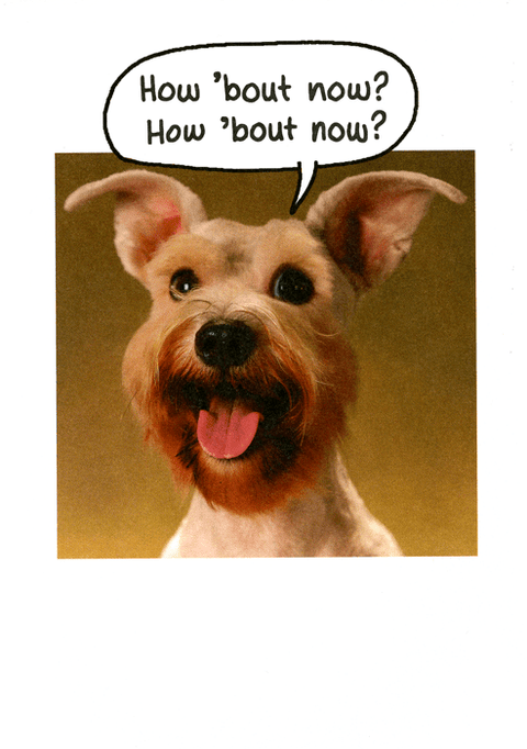 Birthday CardUK GreetingsComedy Card CompanyDog - help celebrate your birthday