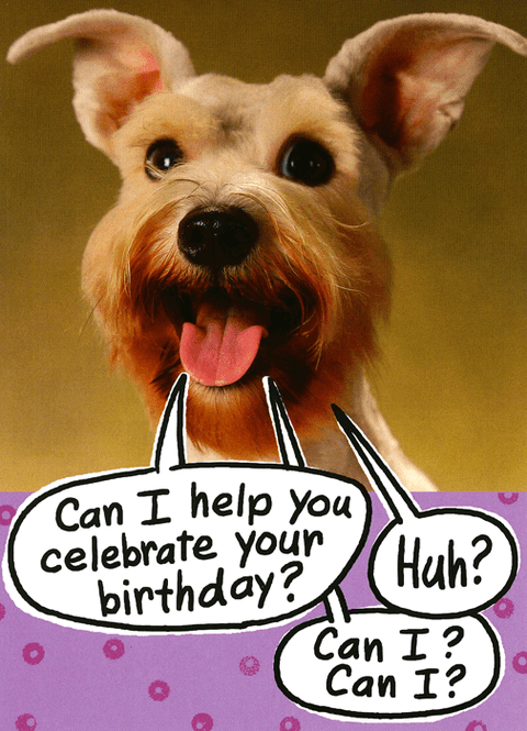 Birthday CardUK GreetingsComedy Card CompanyDog - help celebrate your birthday
