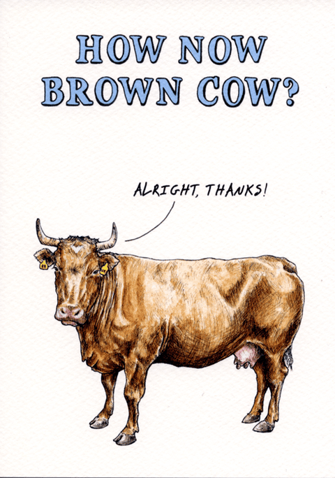 Funny CardsBewilderbeestComedy Card CompanyHow Now Brown Cow