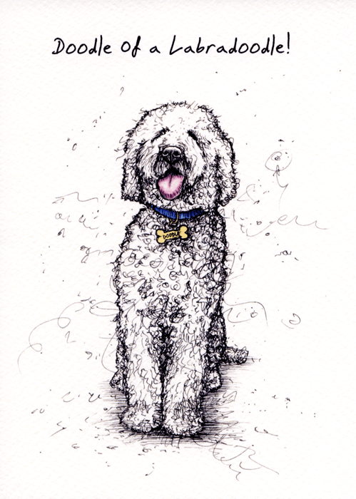 Funny Labradoodle Quotes Labradoodle Dog Hair Types #labradoodle