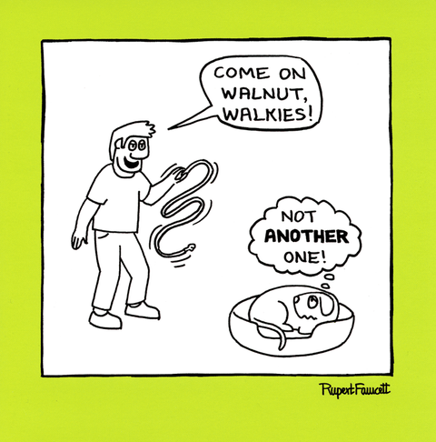 Funny CardsCardmixComedy Card CompanyWalkies - Not another one