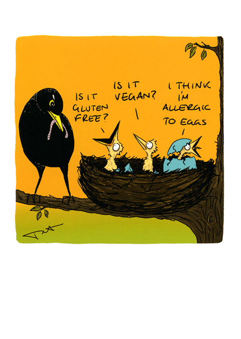 Funny CardsCath TateComedy Card CompanyAllergic to eggs