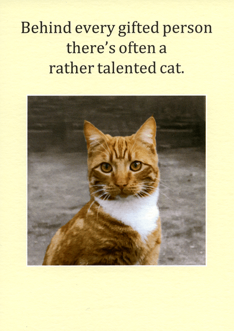 Funny CardsCath TateComedy Card CompanyBehind gifted person - a cat