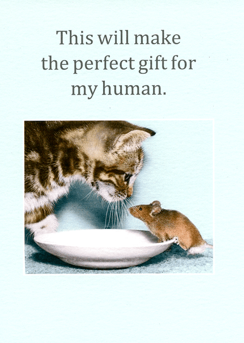 Funny CardsCath TateComedy Card CompanyPerfect gift for human
