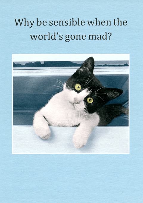 Funny CardsCath TateComedy Card CompanyWorld's gone mad