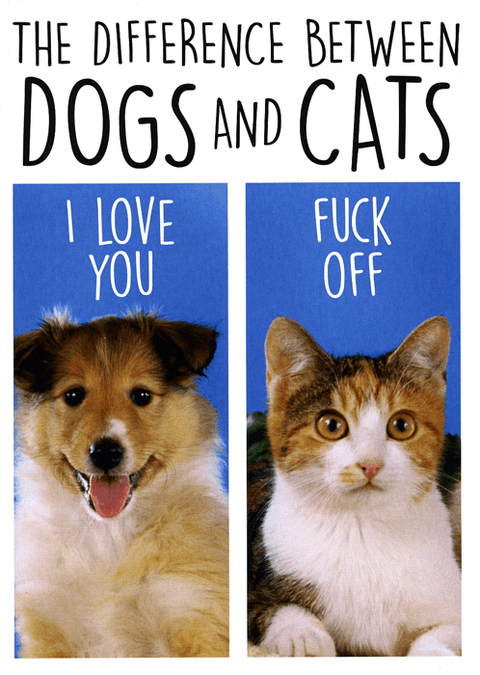 Funny CardsDean MorrisComedy Card CompanyDifference between Dogs and Cats
