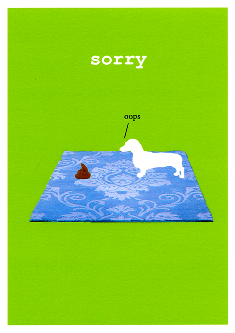Funny CardsFrankie WhistleComedy Card CompanySorry - dog poo on carpet