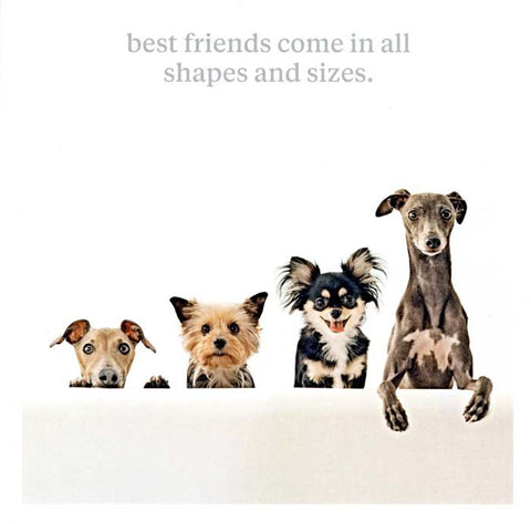Funny CardsIconComedy Card CompanyFriends come in all shapes and sizes