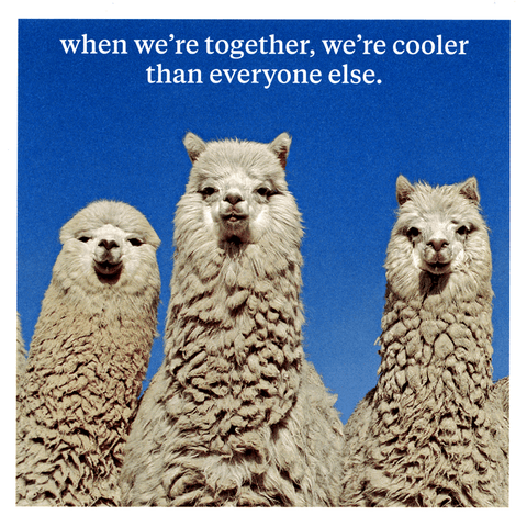 Funny CardsIconComedy Card CompanyWhen we're together, we're cooler