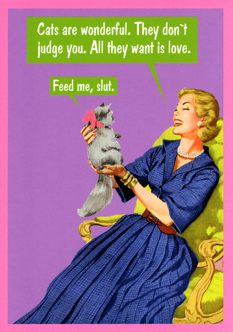 Funny CardsKiss me KwikComedy Card CompanyCats are wonderful