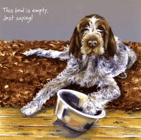 Funny CardsLittle Dog LaughedComedy Card CompanyBowl is empty