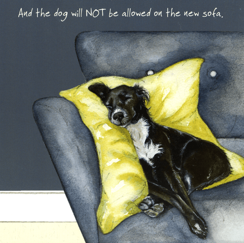 Funny CardsLittle Dog LaughedComedy Card CompanyNot allowed on sofa