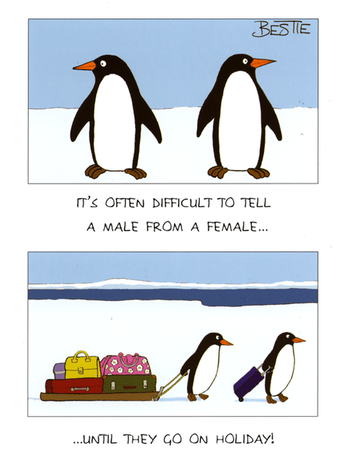 Funny CardsPaperlinkComedy Card CompanyDifficult to tell male from female